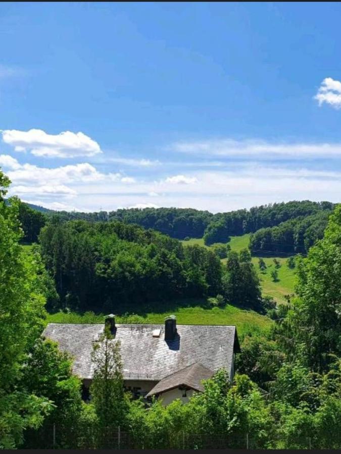 Odenwald-Lodge Mit Infrarotsauna Und E-Ladestation Im Naturpark Odenwald "Haus Himmelblau" Reichelsheim Exterior photo